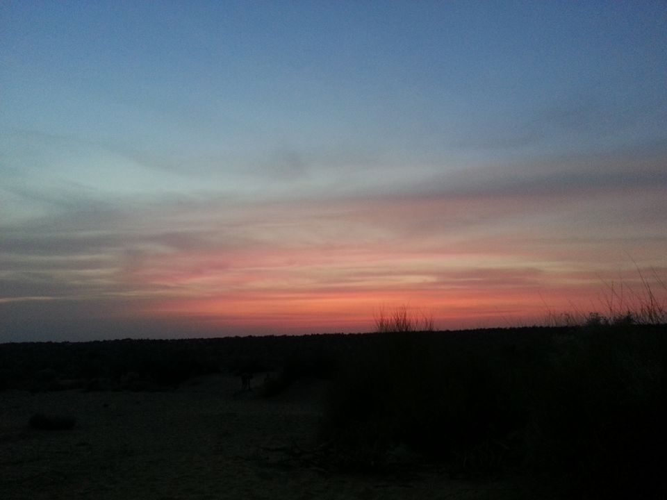Photo of A Soul Filling Night in Desert Under Open Sky by Rashmi Prasanna