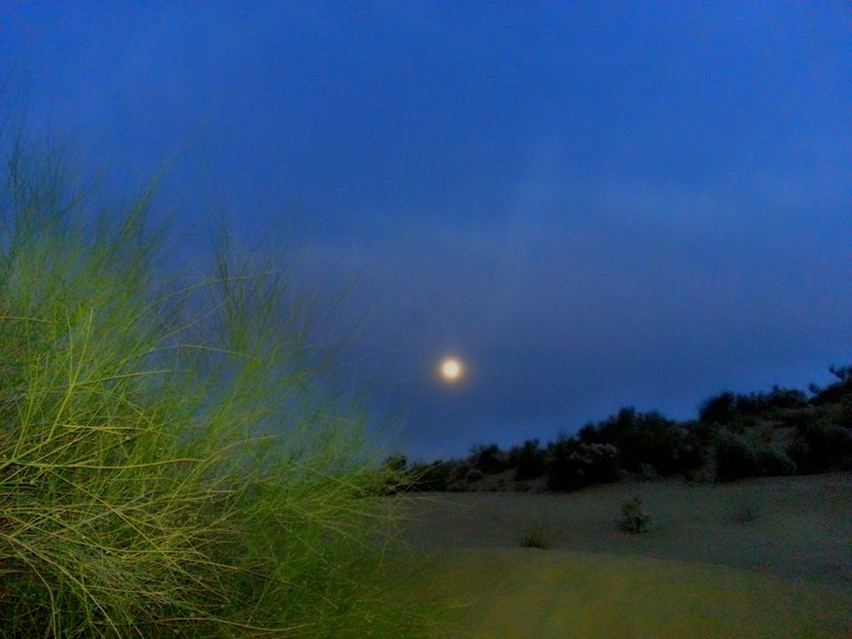 Photo of A Soul Filling Night in Desert Under Open Sky by Rashmi Prasanna