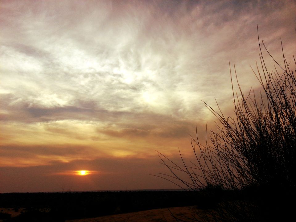 Photo of A Soul Filling Night in Desert Under Open Sky by Rashmi Prasanna