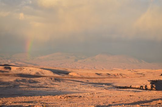 Photo of Chile: Sun Bathing In The Atacama Desert 3/10 by Alexandra Kovacova