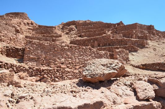 Photo of Chile: Sun Bathing In The Atacama Desert 6/10 by Alexandra Kovacova
