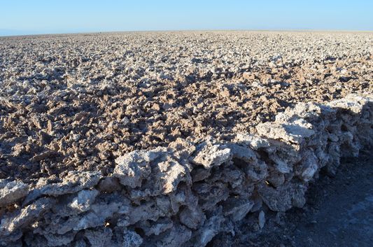 Photo of Chile: Sun Bathing In The Atacama Desert 7/10 by Alexandra Kovacova