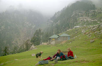 Photo of The Travelogue of Life and Death : Part 1 How it all started with my canine partner Hachi by Malvika Duhoon