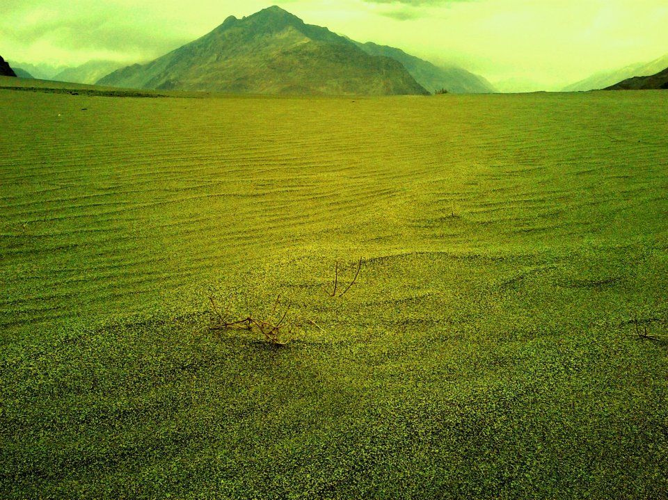 Photo of Trip to Ladakh: A Comprehensive Guide 9/9 by Vikalp