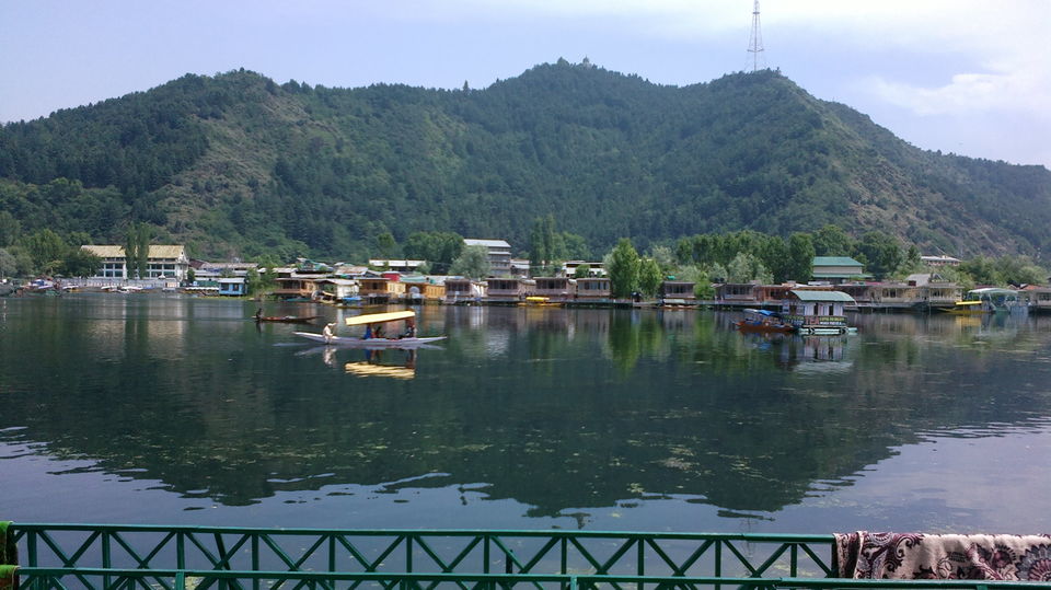 Photo of Kashmir se Kerala: From Tip to End 1/15 by Garima Ujjainia