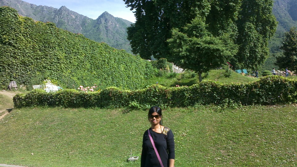 Photo of Kashmir se Kerala: From Tip to End 2/15 by Garima Ujjainia