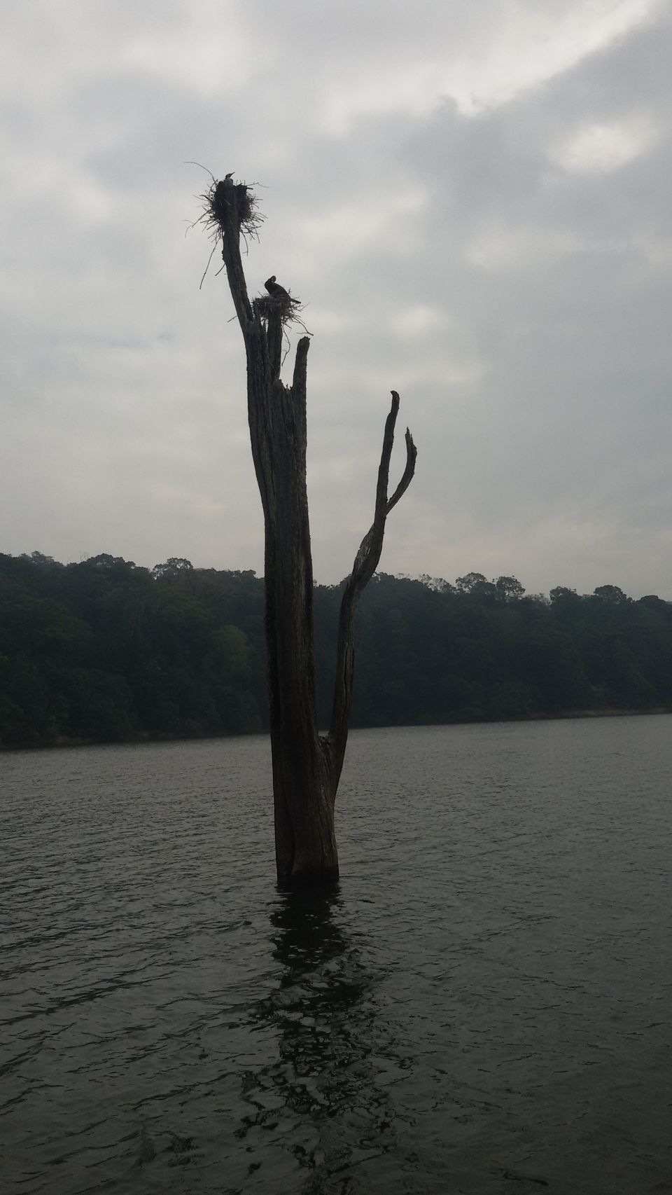 Photo of Kashmir se Kerala: From Tip to End 11/15 by Garima Ujjainia