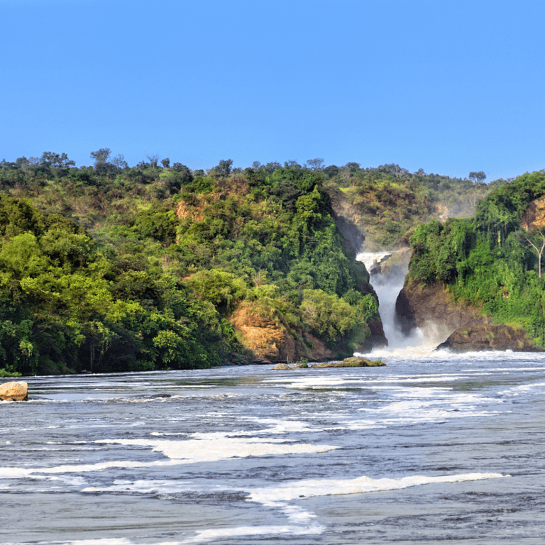 Photo of 10 Great Ideas For Uganda Romantic Tour For Wildlife Lovers | Augustine Tours by Augustine