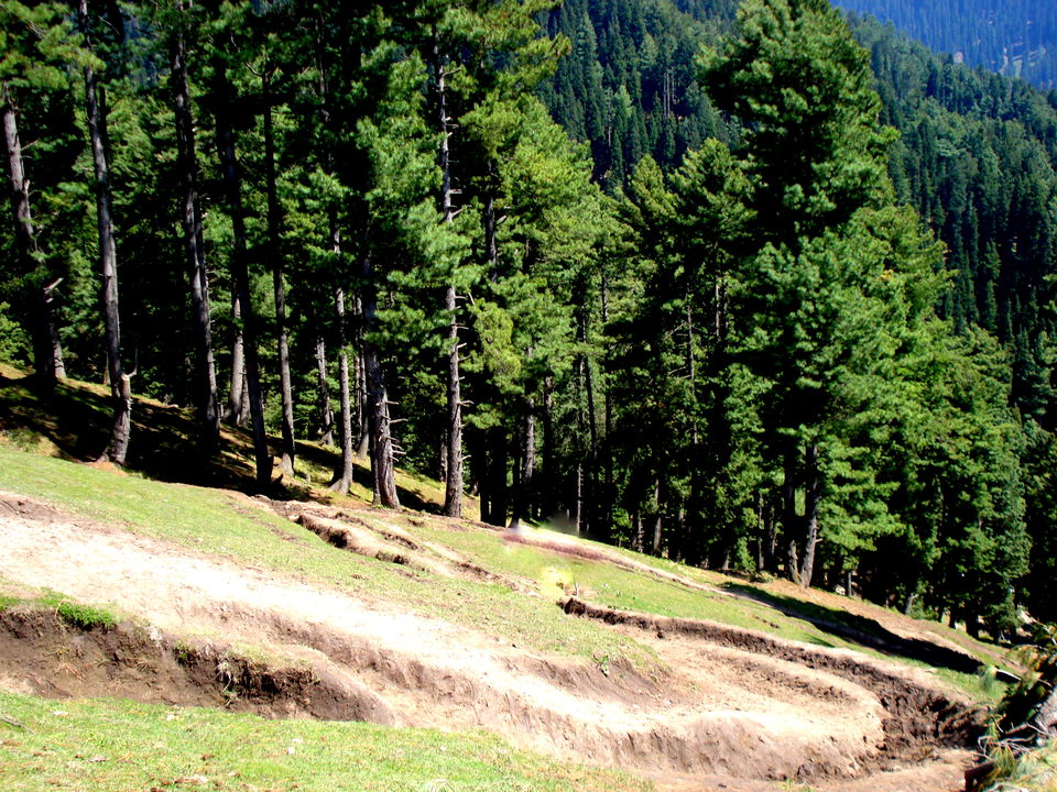 Photo of Baisaran Pahalgam, Baisaran Rd, Forest Block by Nishant Singh