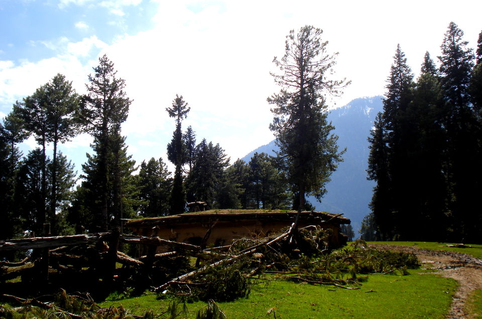 Photo of Baisaran Pahalgam, Baisaran Rd, Forest Block by Nishant Singh