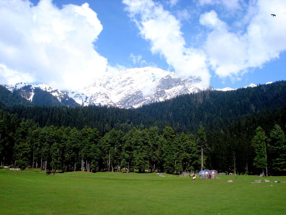 Photo of Baisaran Pahalgam, Baisaran Rd, Forest Block by Nishant Singh