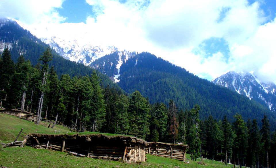 Baisaran Mini Switzerland of India in Kashmir - Tripoto