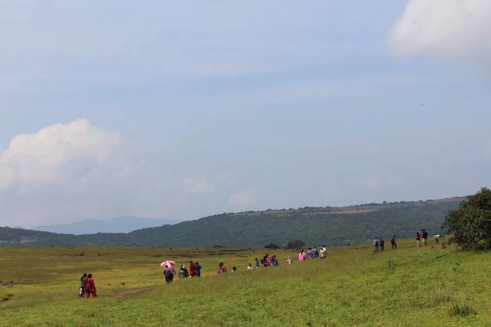 Photo of Kaas Plateau of Flowers, Satara, Maharashtra, India by TwoWheelsManiac