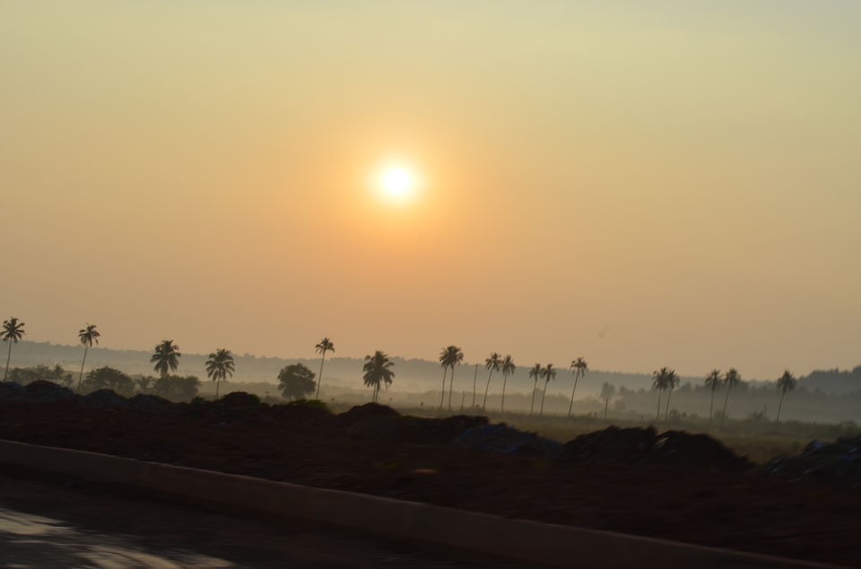 Photo of Quintessentially Goa! 2/5 by Arushi Kotecha