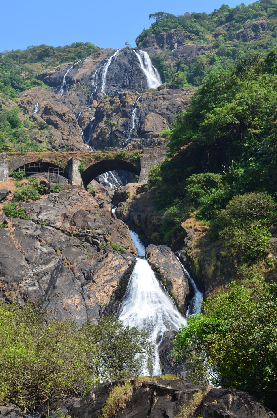 Photo of Quintessentially Goa! 3/5 by Arushi Kotecha