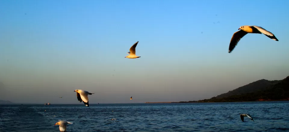 Photo of Gateway Of India Mumbai, Mumbai, Maharashtra, India by Neehar Mishra