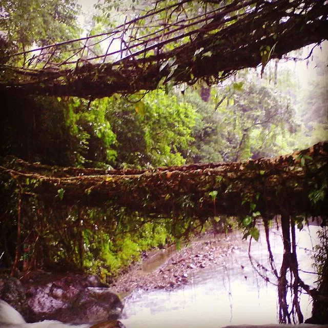 Photo of Nongriat, Meghalaya, India by Neehar Mishra