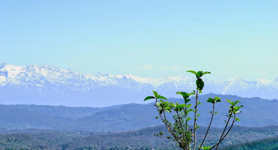 Photo of Revisiting Mcleodganj 3/38 by Neehar Mishra
