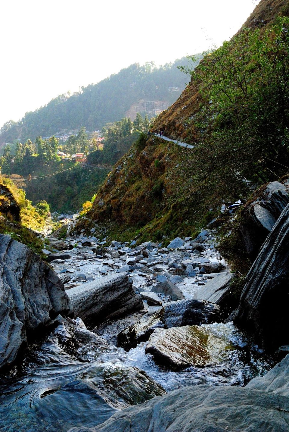 Photo of Revisiting Mcleodganj 13/38 by Neehar Mishra