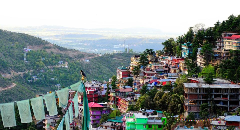 Photo of Revisiting Mcleodganj 21/38 by Neehar Mishra