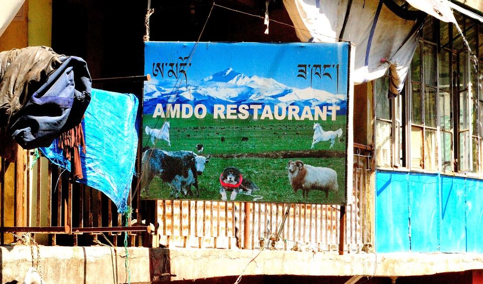 Photo of Revisiting Mcleodganj 30/38 by Neehar Mishra