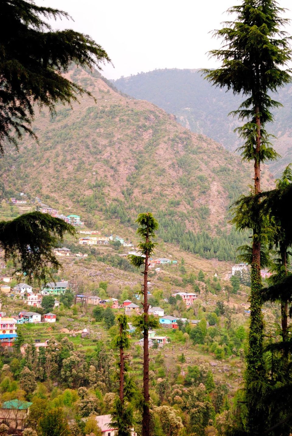Photo of Revisiting Mcleodganj 32/38 by Neehar Mishra