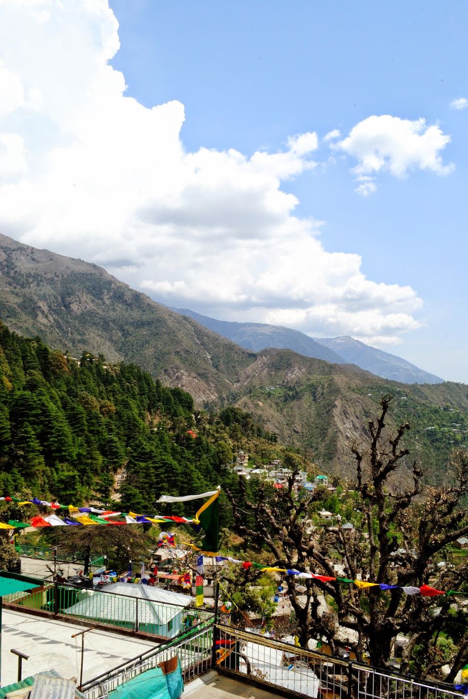 Photo of Revisiting Mcleodganj 37/38 by Neehar Mishra