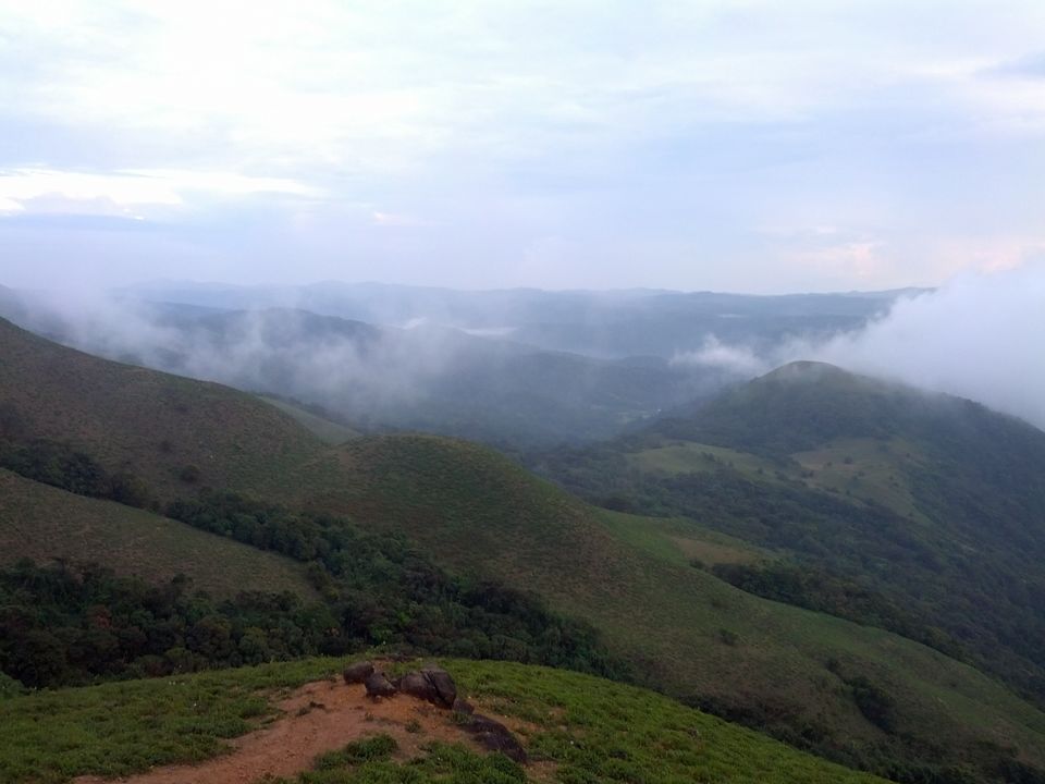 Photo of Coorg: Of coffee blossoms and cloudy retreats 6/8 by Krutika Behrawala
