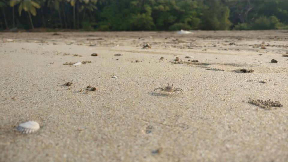 Photo of Dapoli, Maharashtra, India by Soumya Yadav