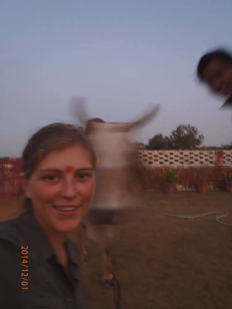 Photo of Rohtak, Rohtak, Haryana, India by Julia Steele