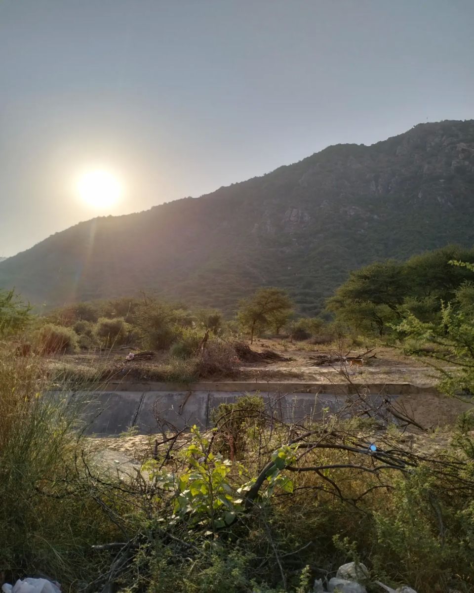 Photo of Exploring Pushkar- The Hippie paradise of Rajasthan as a 20 year old solo traveller by Kanchi Nagpal