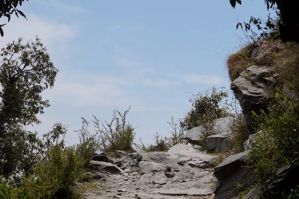 Photo of Triund Trek Trail, Trail to Triund Hill, Dharamshala, Himachal Pradesh, India by Titas Mazumder