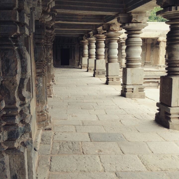 Photo of Trip to Mysore meant only palace visit to me until..... by Anusha