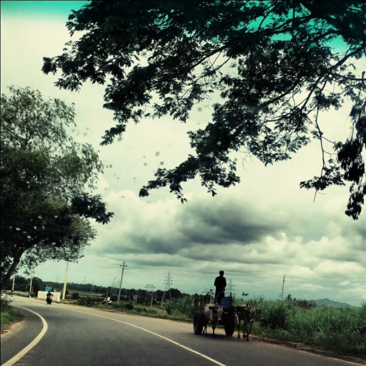 Photo of Trip to Mysore meant only palace visit to me until..... by Anusha