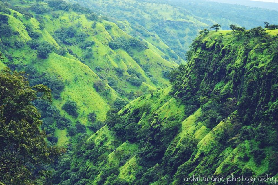 Photo of Satara - The Greenland of Maharashtra 35/40 by Ankita Rane