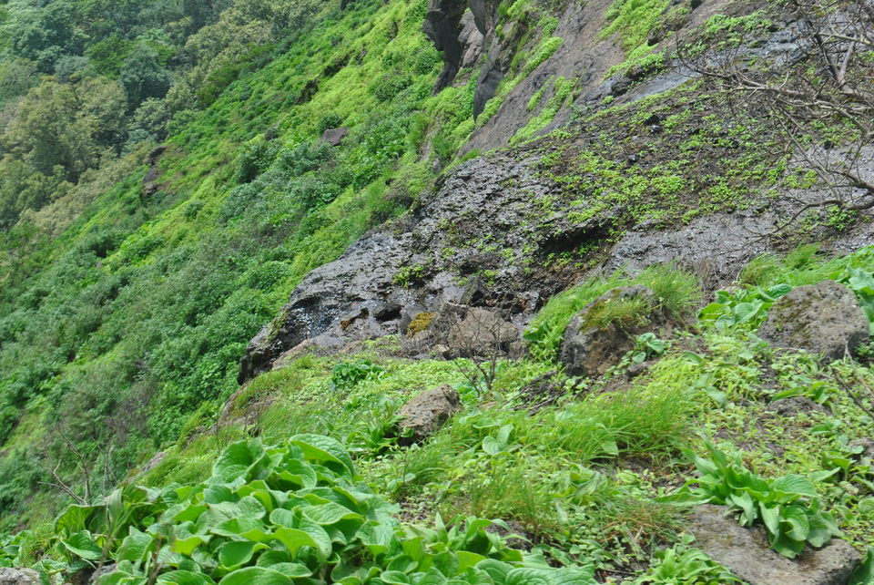 Photo of Lohagad Fort, Lonavala 27/46 by Daya Parulekar