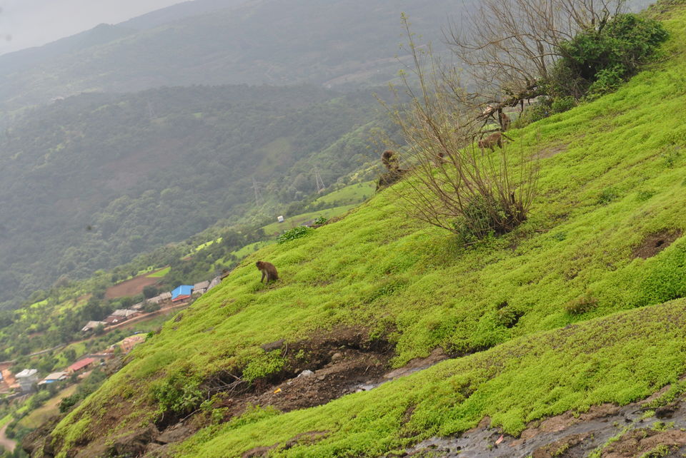 Photo of Lohagad Fort, Lonavala 29/46 by Daya Parulekar