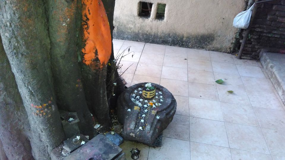 Photo of Trimbakeshwar, Nasik 13/42 by Daya Parulekar