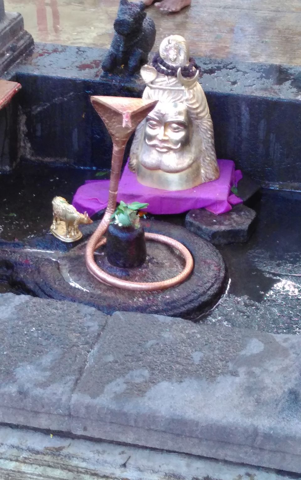 Photo of Trimbakeshwar, Nasik 20/42 by Daya Parulekar