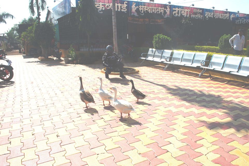 Photo of Pandharpur to Shikhar Shingnapur (Lord Shiva Temple) 15/46 by Daya Parulekar