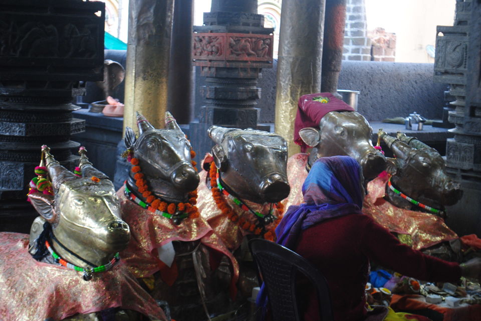 Photo of Pandharpur to Shikhar Shingnapur (Lord Shiva Temple) 31/46 by Daya Parulekar