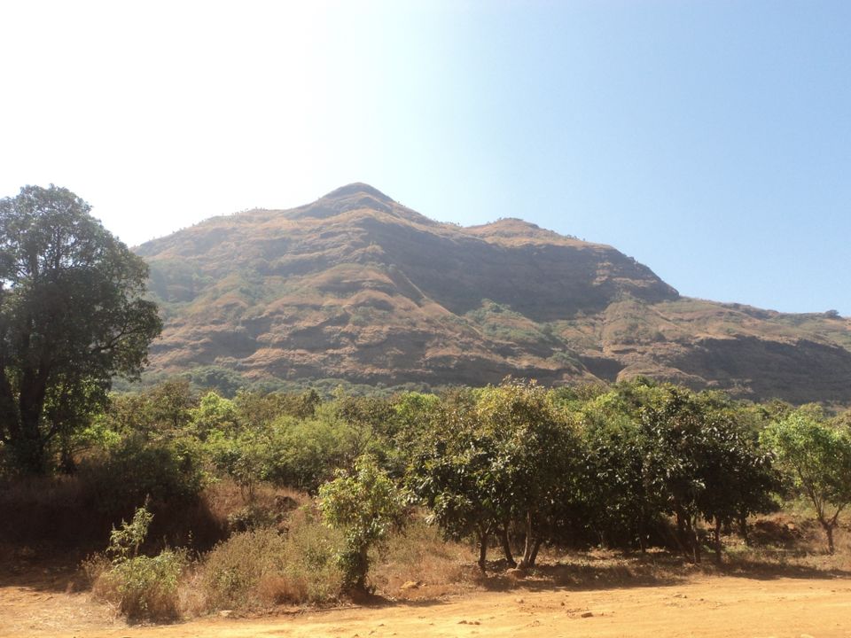 Photo of Mulshi Dam - Pune 11/32 by Daya Parulekar