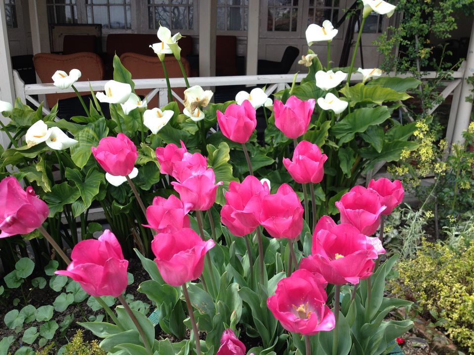 Photo of When Nature serves as Solace 4/10 by Deeksha Pal