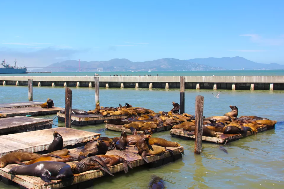 Photo of San Francisco, California, EE. UU. by Nicolas Zapata