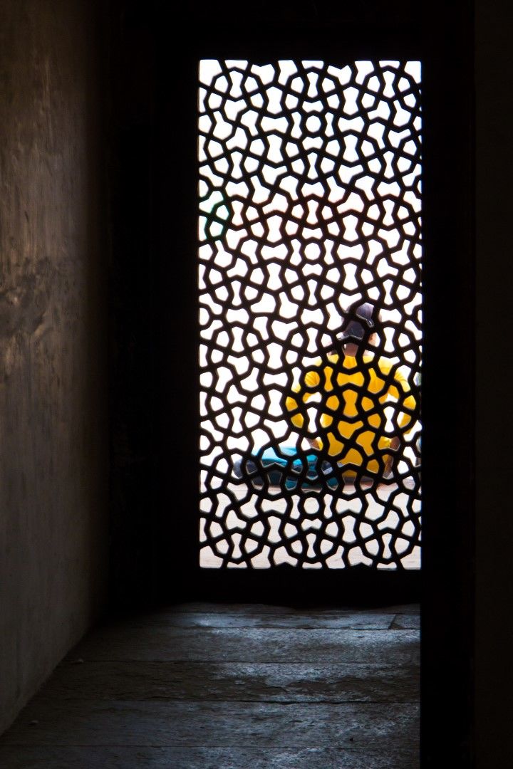 Photo of Mainstream Delhi in 3 days 2/29 by Nicolas Zapata
