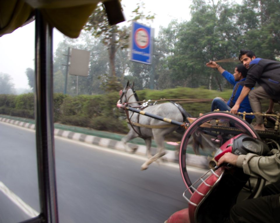 Photo of Mainstream Delhi in 3 days 12/29 by Nicolas Zapata