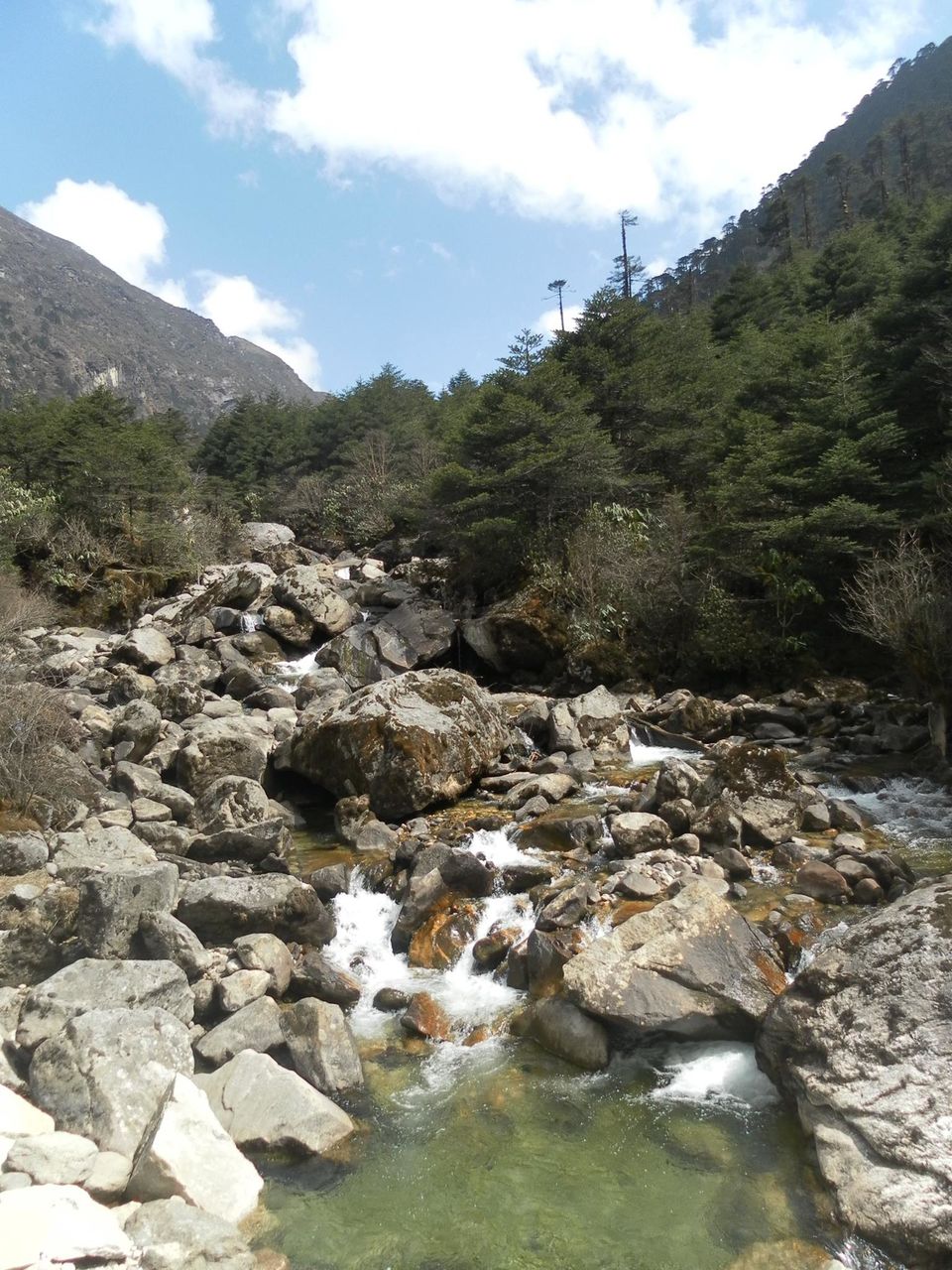 Photo of Jong by Shraddha Pandya