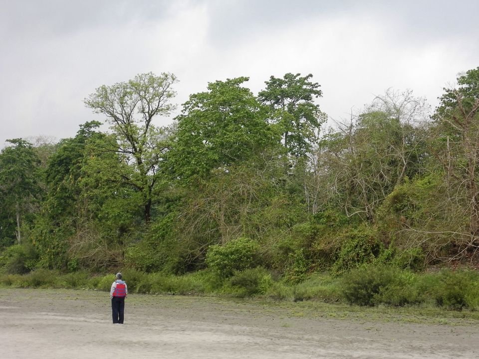 Photo of Nameri National Park by Shraddha Pandya