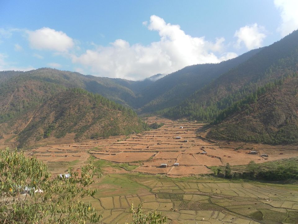 Photo of Assam & Arunachal (Tawang) 6/7 by Shraddha Pandya