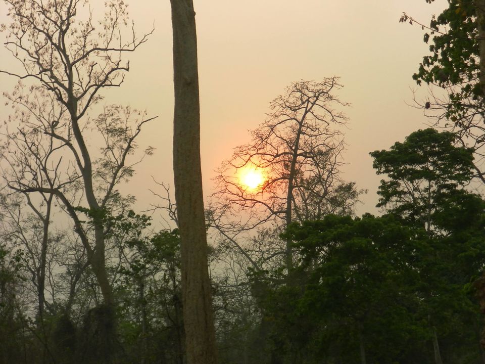 Photo of Assam & Arunachal (Tawang) 4/7 by Shraddha Pandya